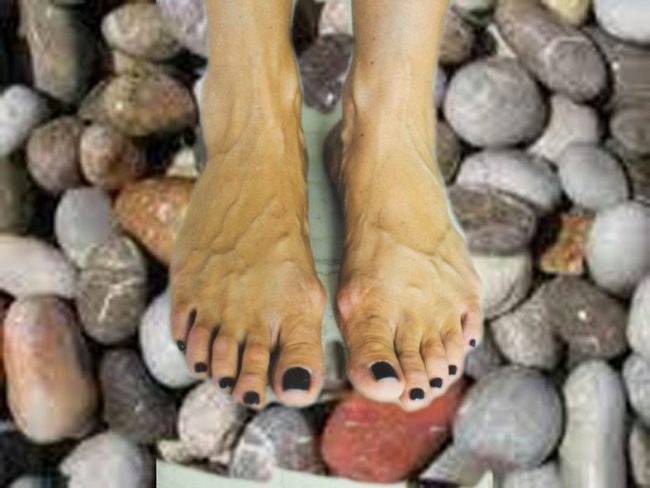 Βοτσαλοπόδια Η ΑΓΑΠΗ ΤΟΥ ΠΛΗΣΙΟΝ - διήγημα