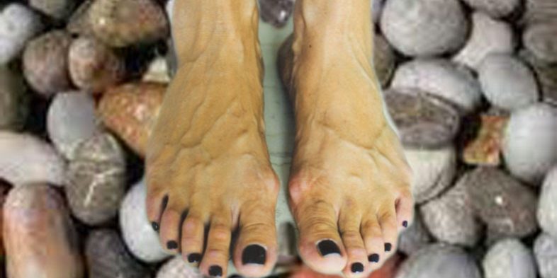 Βοτσαλοπόδια Η ΑΓΑΠΗ ΤΟΥ ΠΛΗΣΙΟΝ - διήγημα