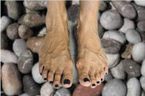 estia-fereoikh Εφημερίδα «ΕΣΤΙΑ», κριτική για την Φερέοικη της Ελένης Λαδιά από την Χαρίκλεια Δημακοπούλου