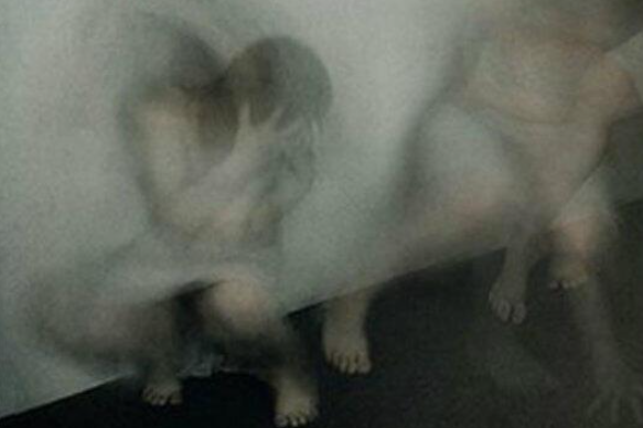 fractalart fractalart