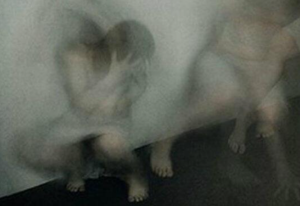 fractalart fractalart